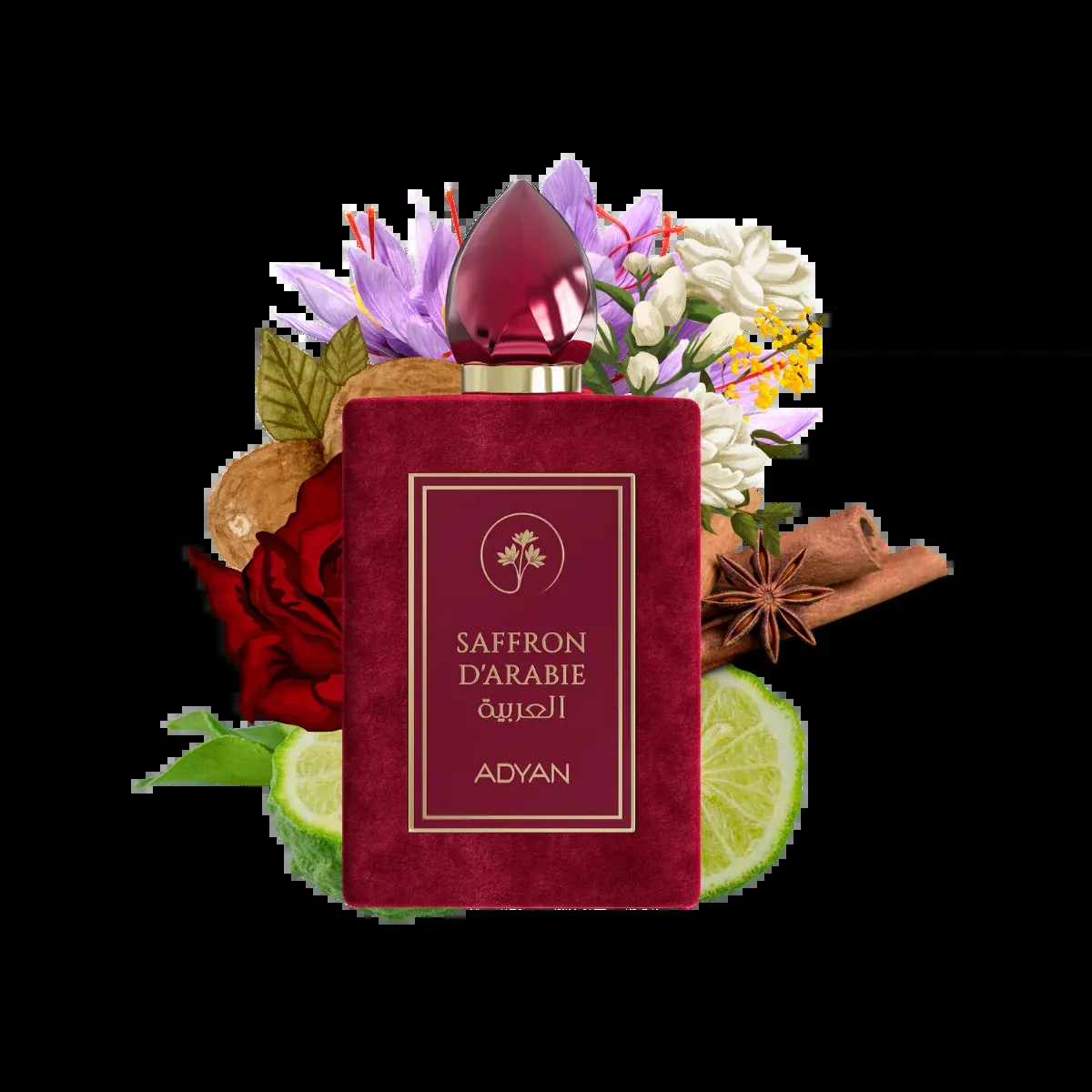 Adyan Saffron D'Arabie