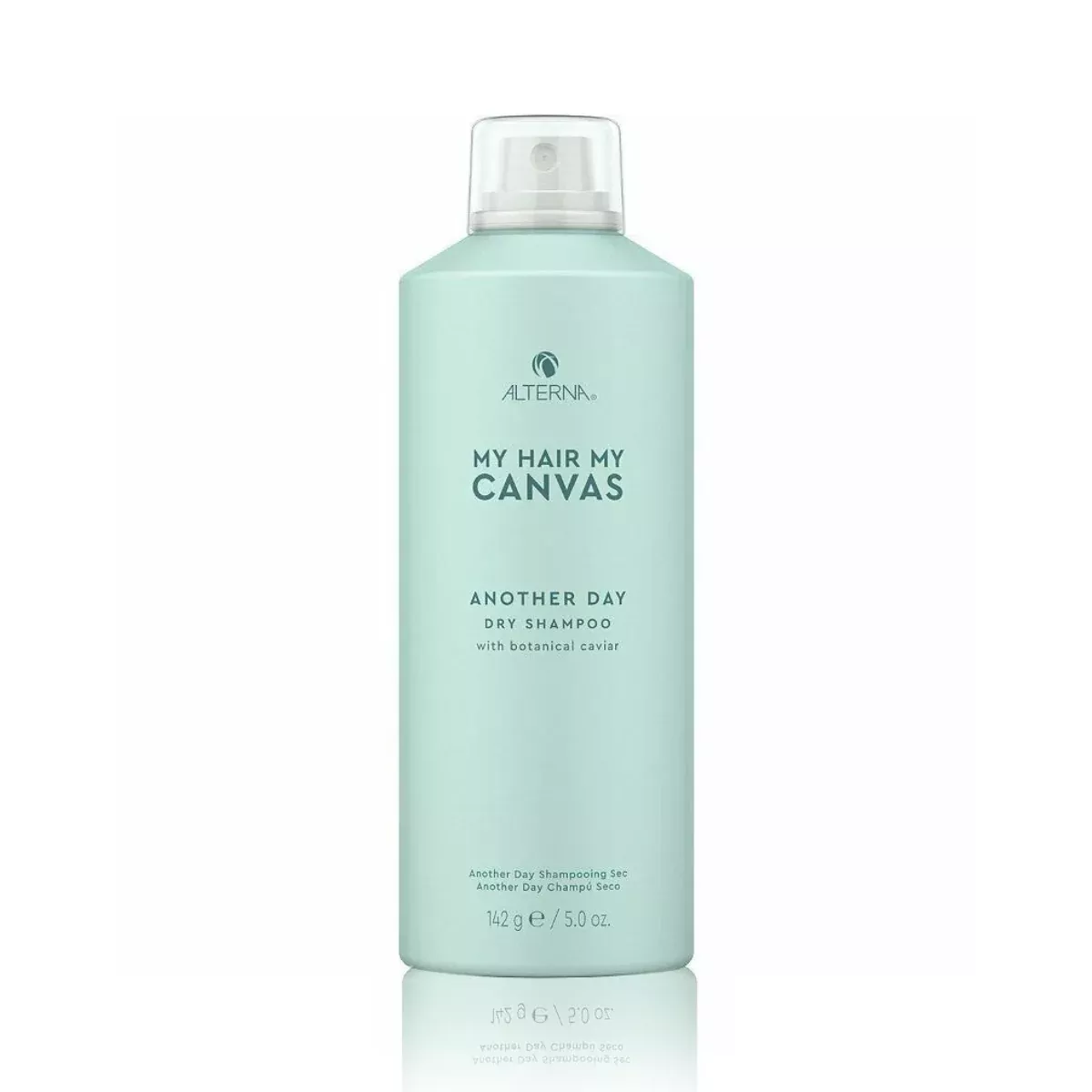 Alterna My Hair My Canvas Another Day Dry Shampoo