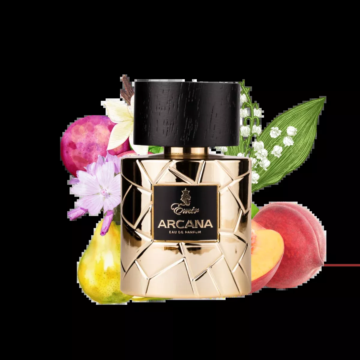ARCANA EMIR