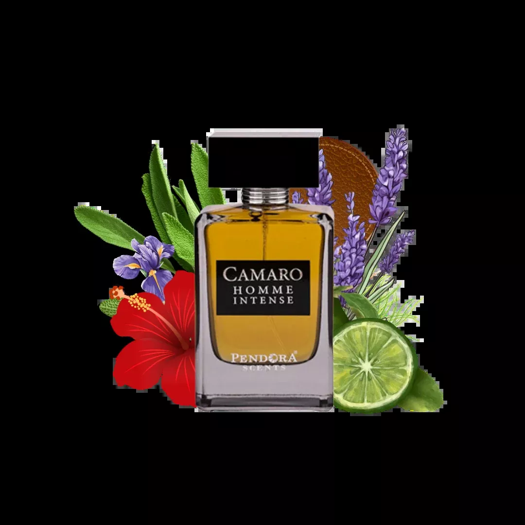 CAMARO HOMME INTENSE