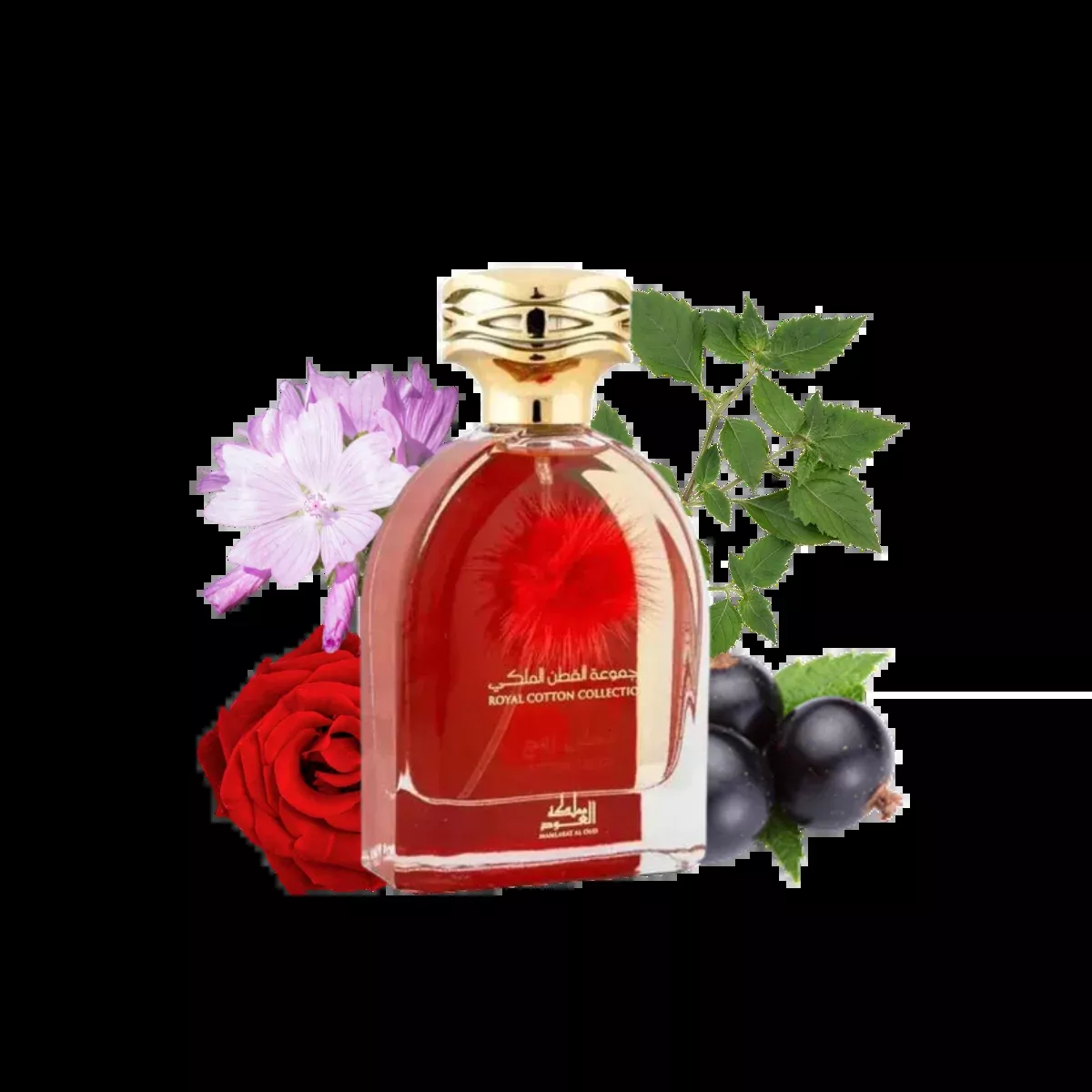 Cotton Rouge - Royal Cotton Collection