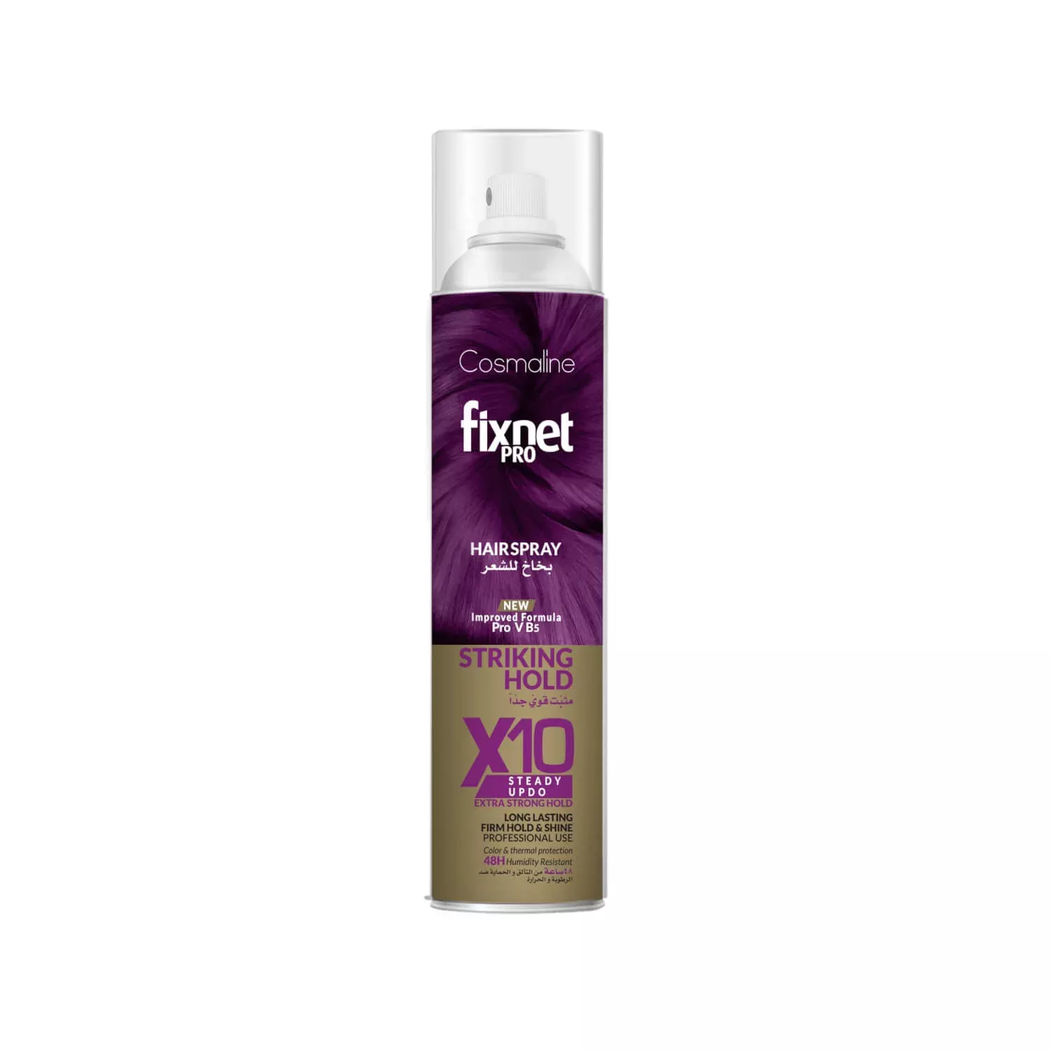 Fixnet Pro Steady Updo Spray X 10 (500ml)