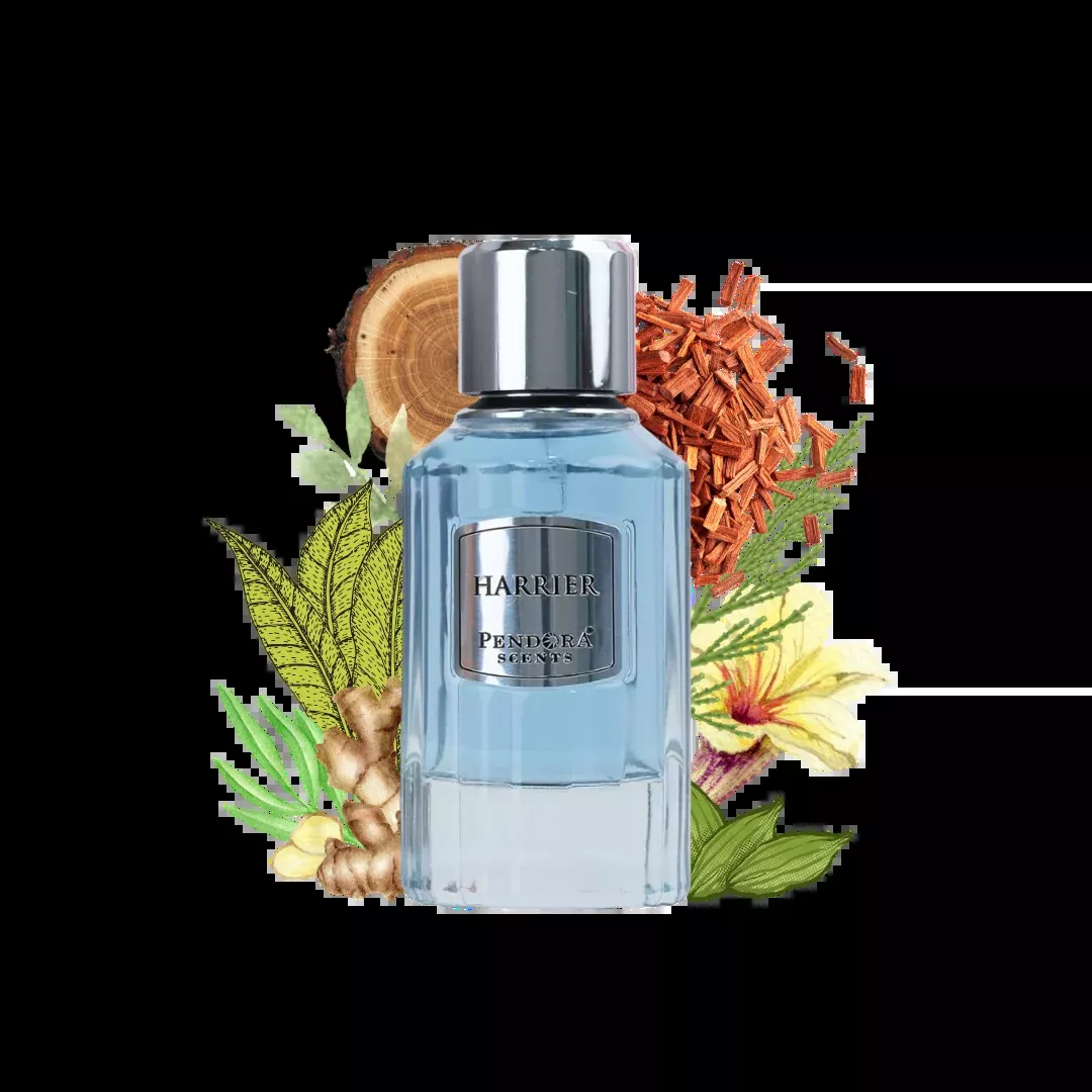 HARRIER PENDORA 50ml