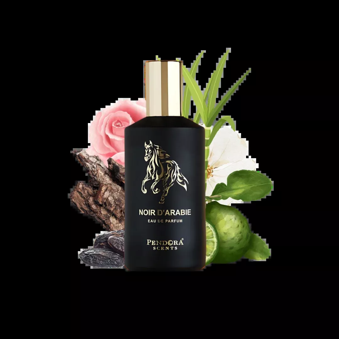 NOIR D'ARABIE PENDORA