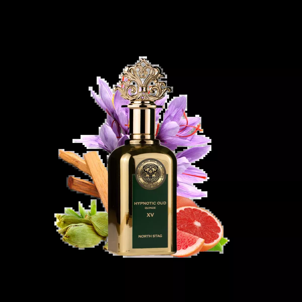 NORTH STAG HYPNOTIC OUD QUINZE XV