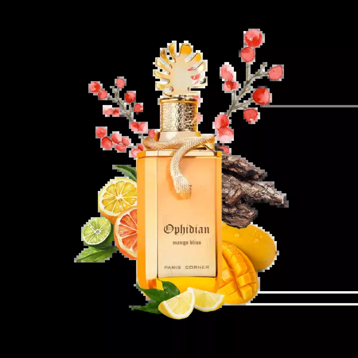 Ophidian Mango Bliss 100ml