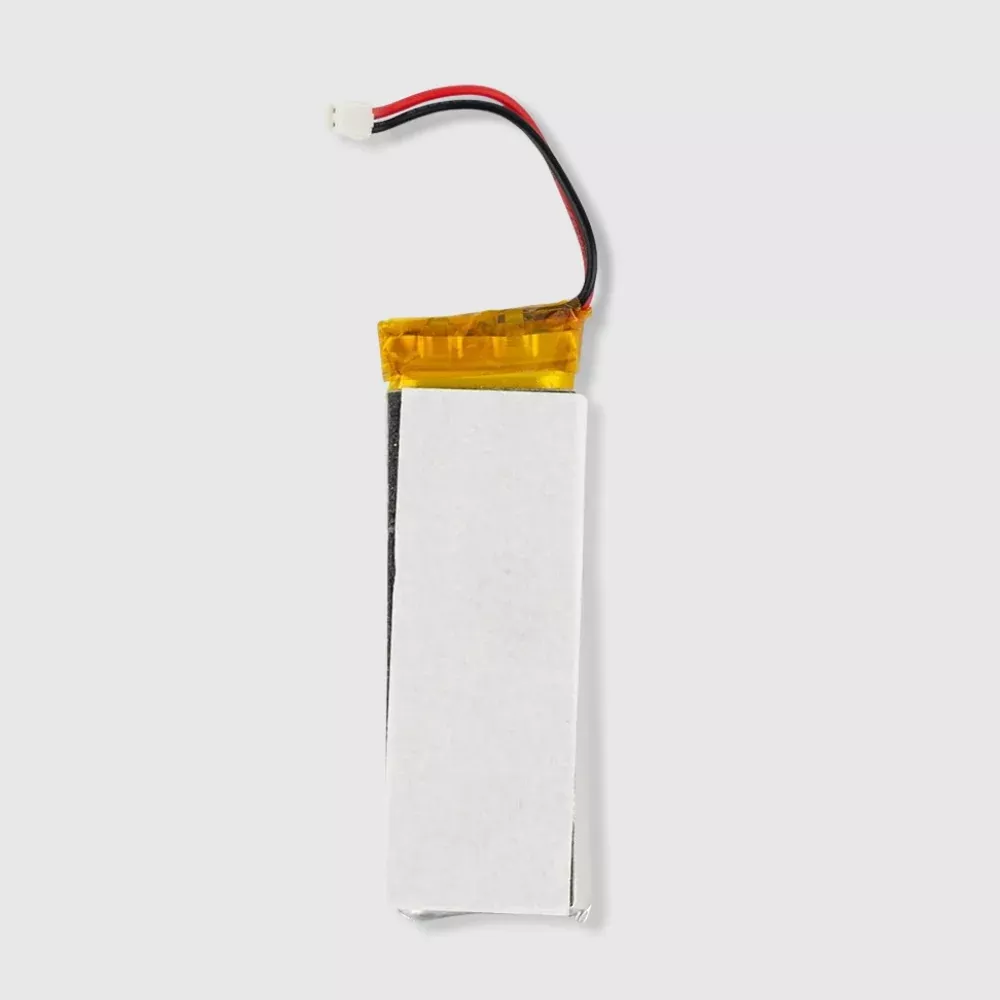 Time Master Pro Battery (Silver Model)