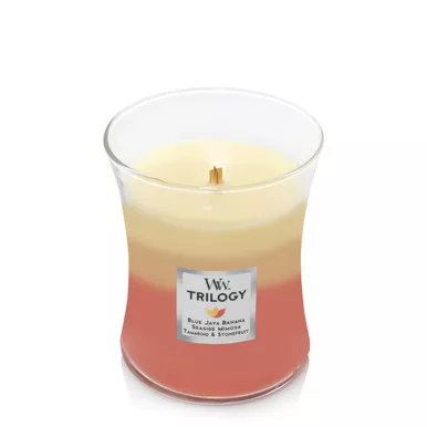 WoodWick Candles Tropical Sunrise Trilogy Medium Jar