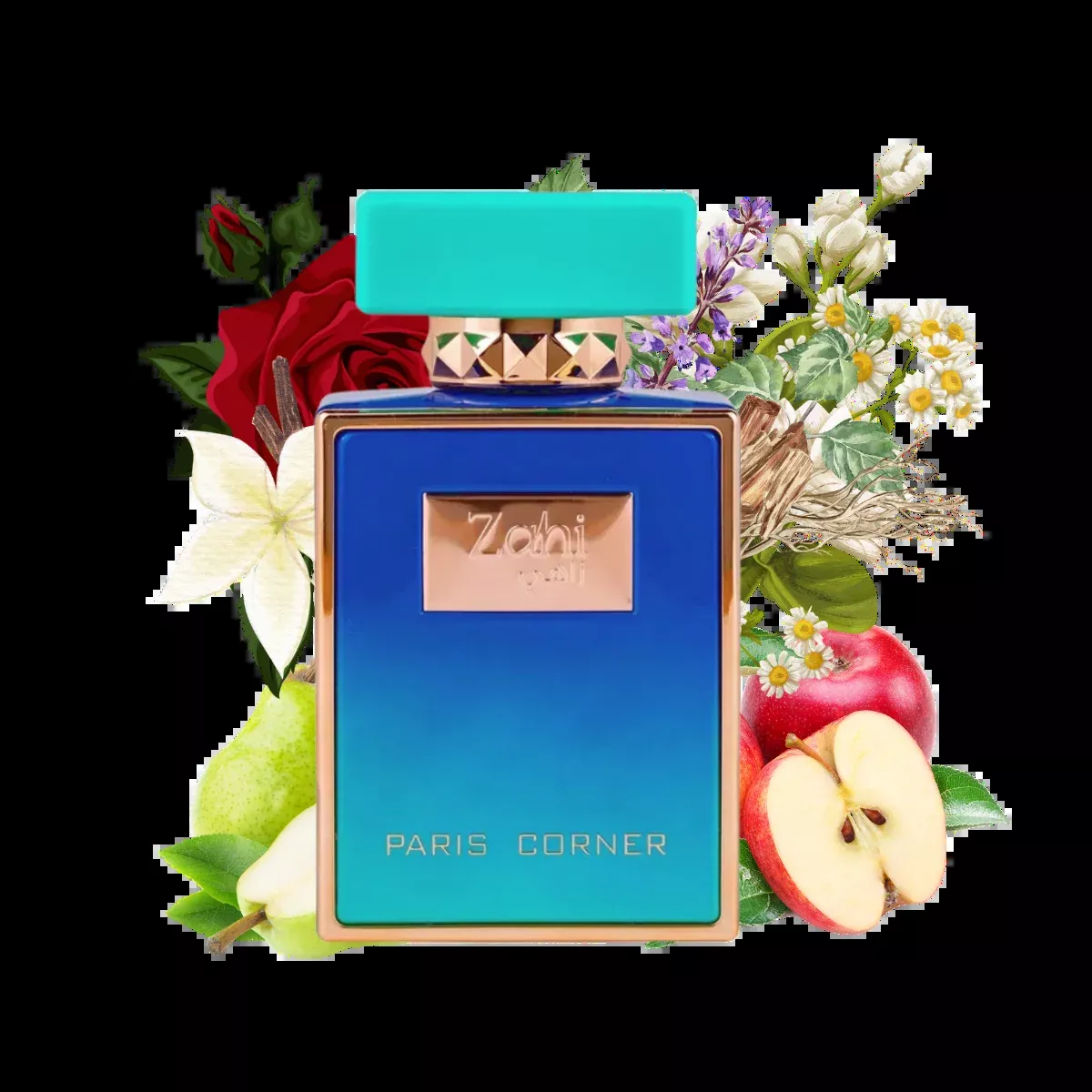 Zahi by Paris Corner